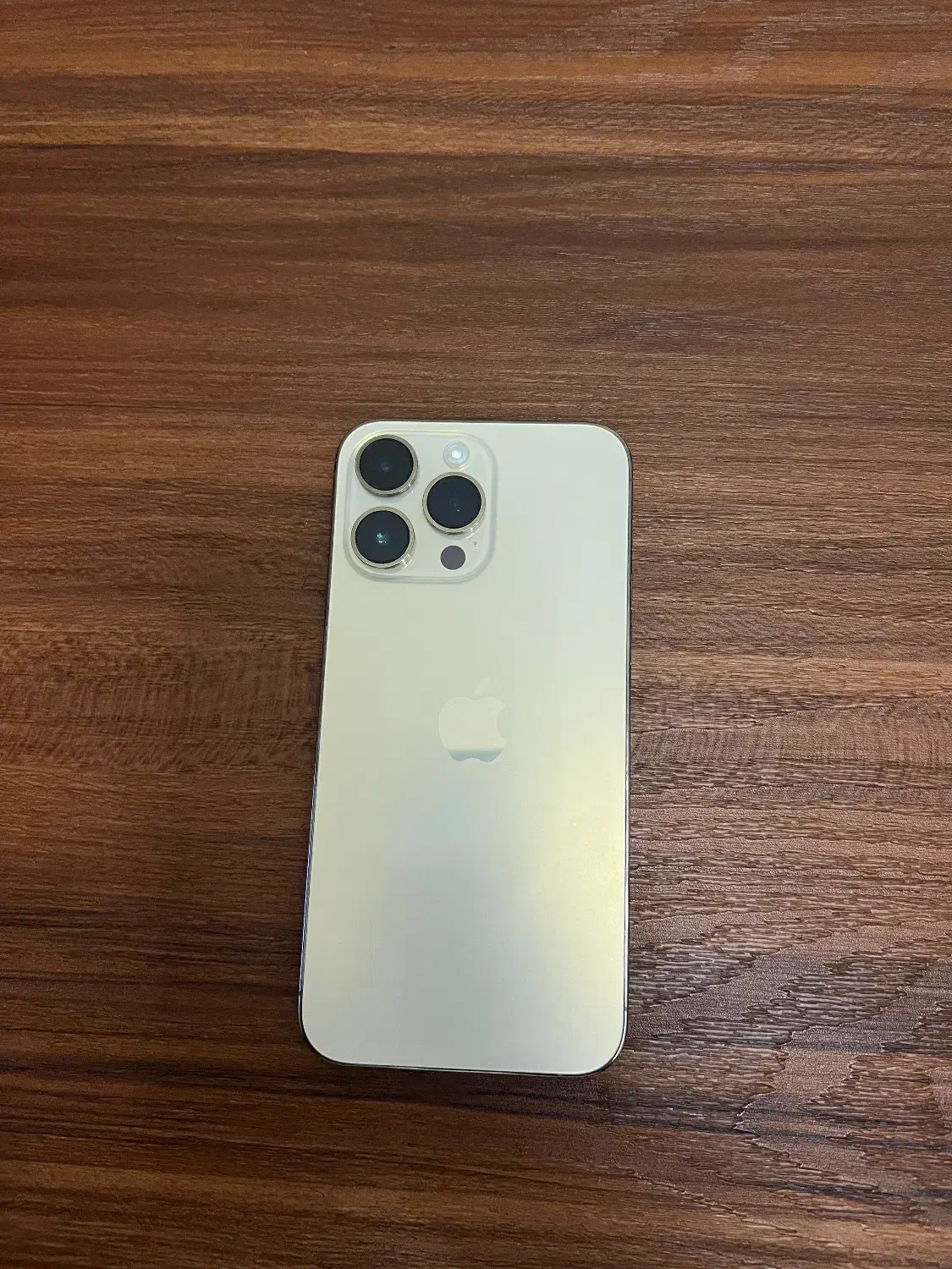 گوشی ۱۴پرومکس|موبایل|پرند, فاز ۲|دیوار