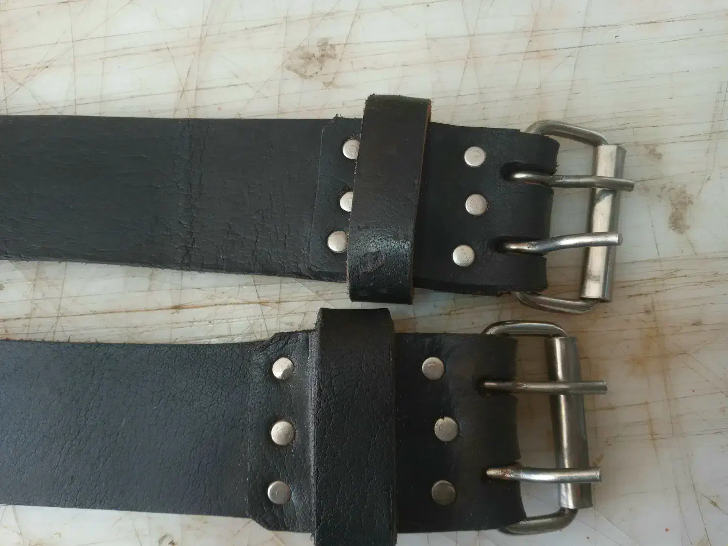 قلاده چرم|لوازم جانبی حیوانات|سراب, |دیوار