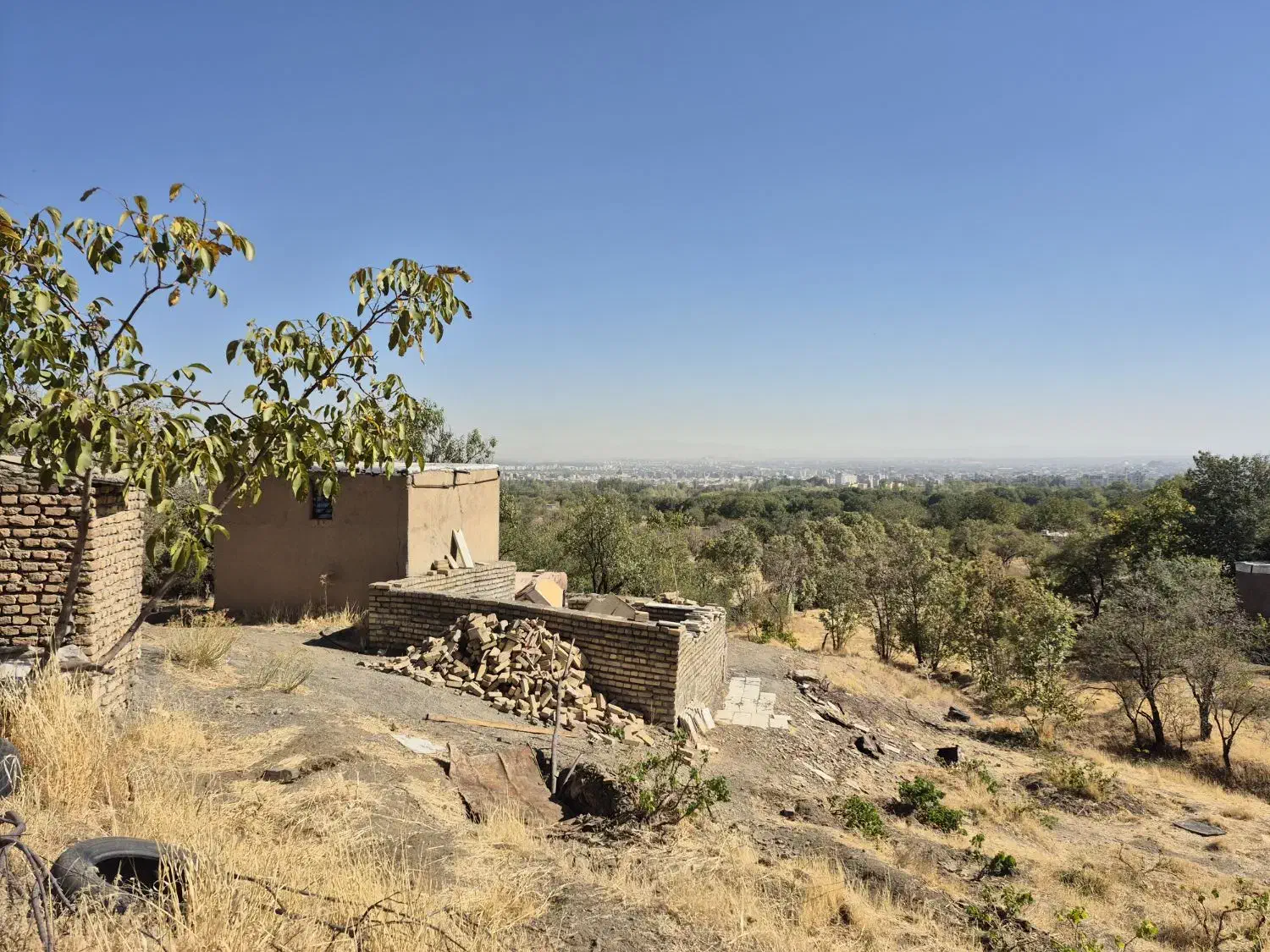 فروش باغ ۳۷۰۰متری حیدره زیرپارک جنگلی|فروش دفتر صنعتی، کشاورزی، تجاری|همدان, |دیوار