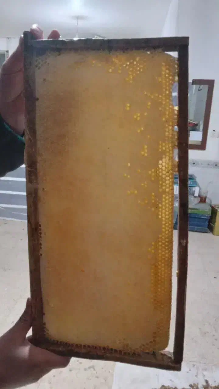 عسل پرتیکان|خوردنی و آشامیدنی|زنده رود, |دیوار