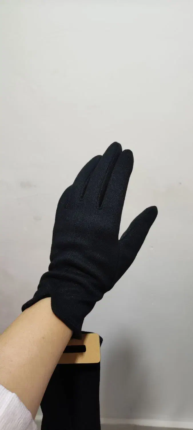 دستکش زنانه|لباس|رشت, باهنر|دیوار