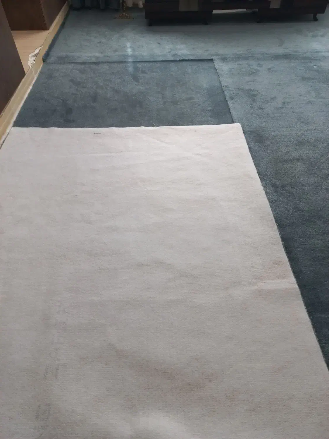 موکت پرز بلند|موکت|بروجرد, |دیوار