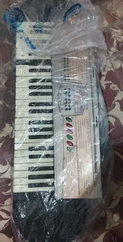 پیانو|پیانو، کیبورد، آکاردئون|ارومیه, |دیوار