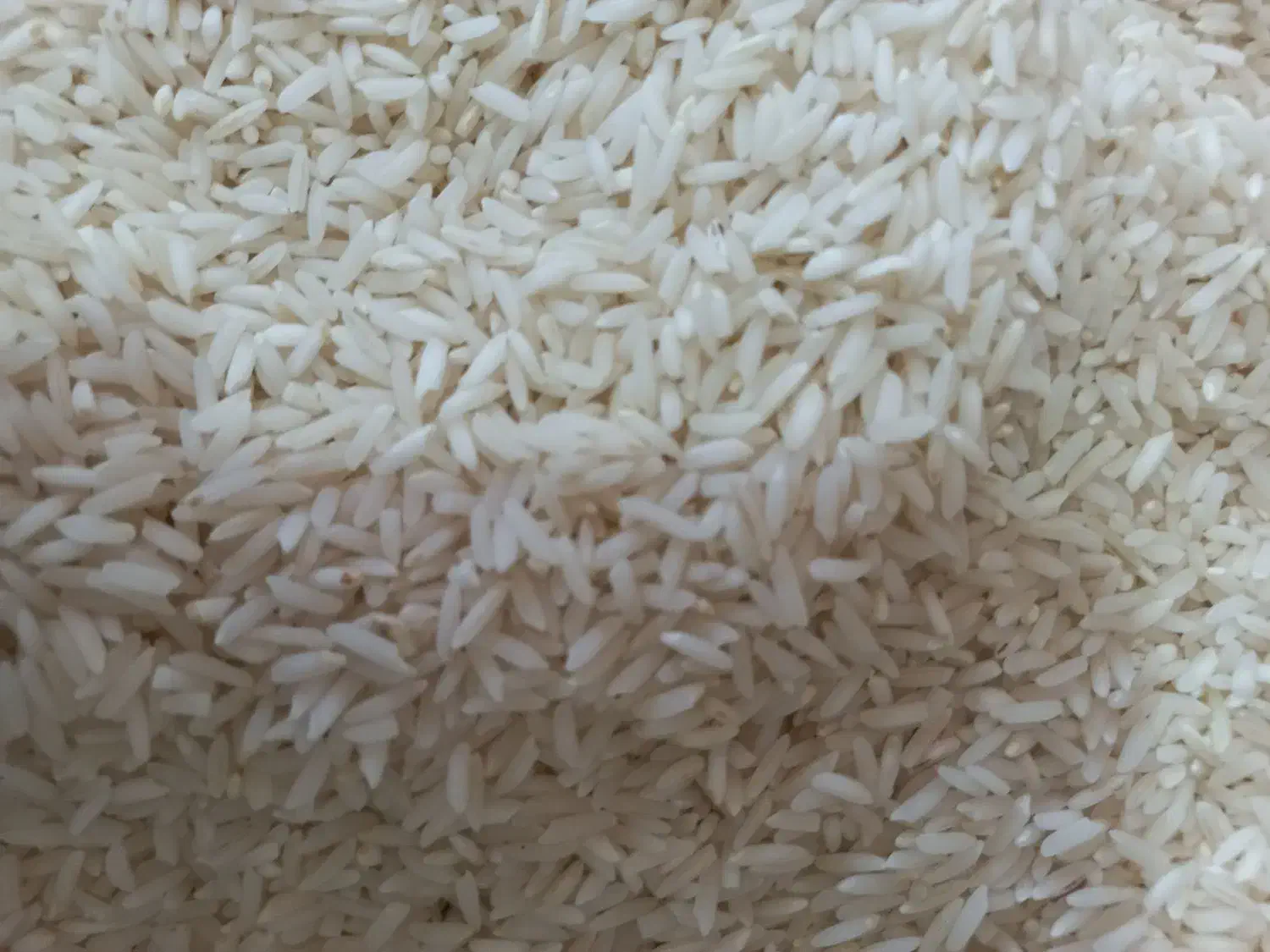 سنگ طارم درجه یک ایرانی|خوردنی و آشامیدنی|جویبار, |دیوار