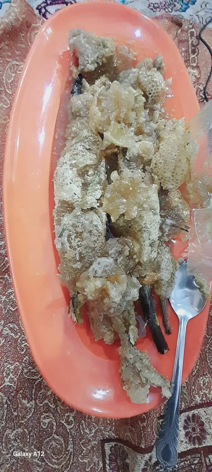 عسل طبیعی|خوردنی و آشامیدنی|اهواز, کوی فرهنگیان ۱|دیوار