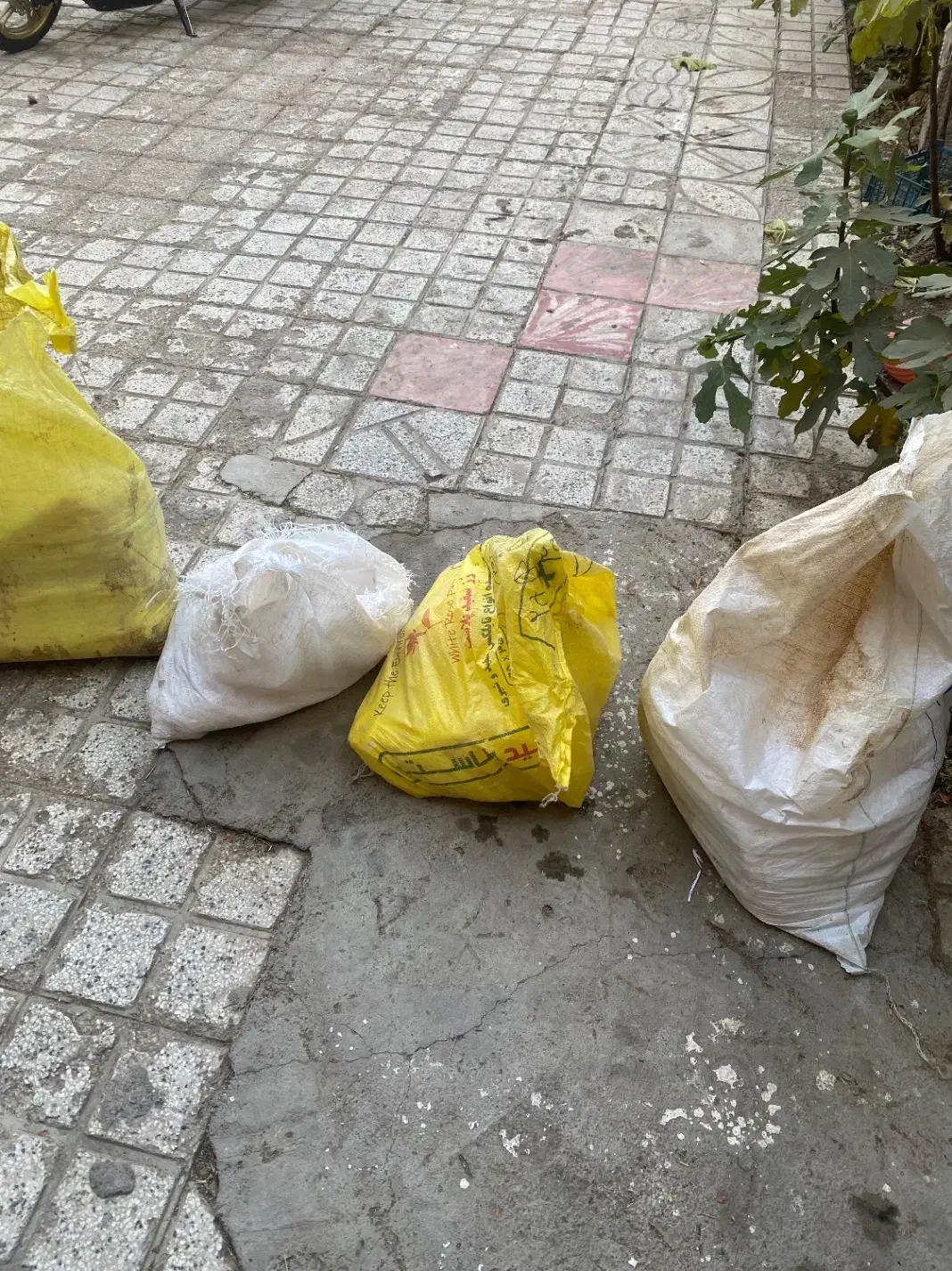 پلاستیک بزرگ و سایز کوچیک|ظروف نگهدارنده، پلاستیکی، یکبارمصرف|نیشابور, دارایی|دیوار