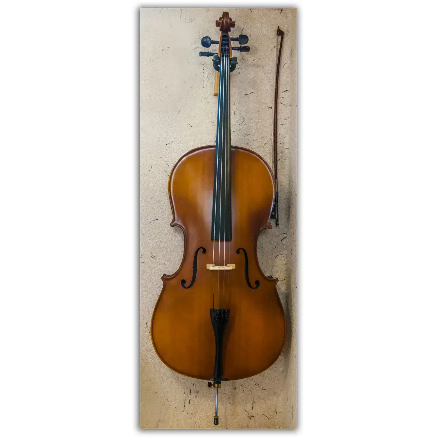 ویولنسل / ویلنسل / ویولونسل / چلو|ویولن|شیراز, گلکوب|دیوار