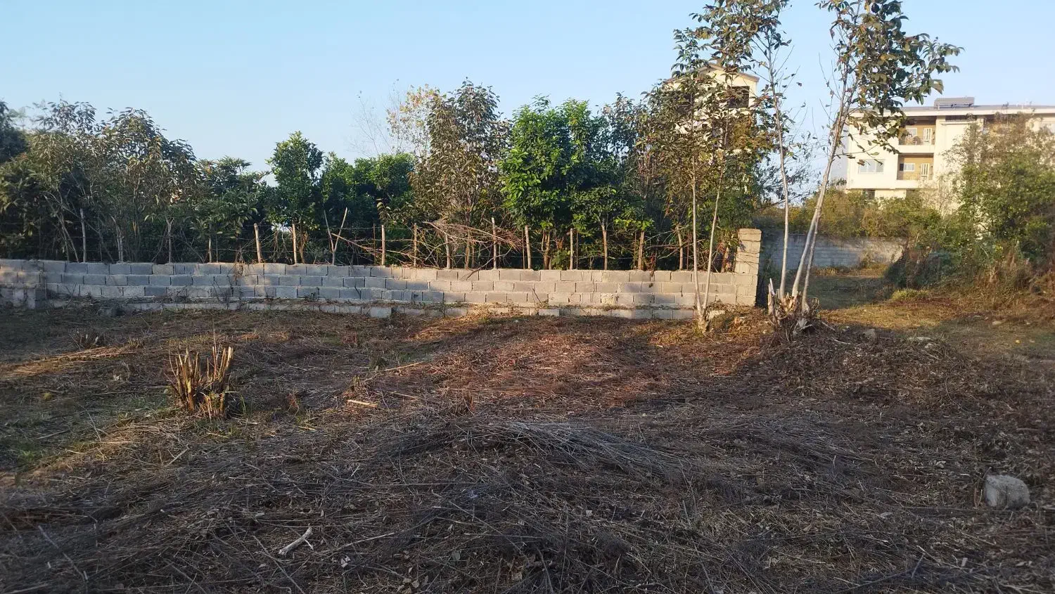 فروش زمین ۲۲۵ متری پلاک سوم بلوار ساحلی شهر|فروش زمین و ملک کلنگی|رامسر, |دیوار