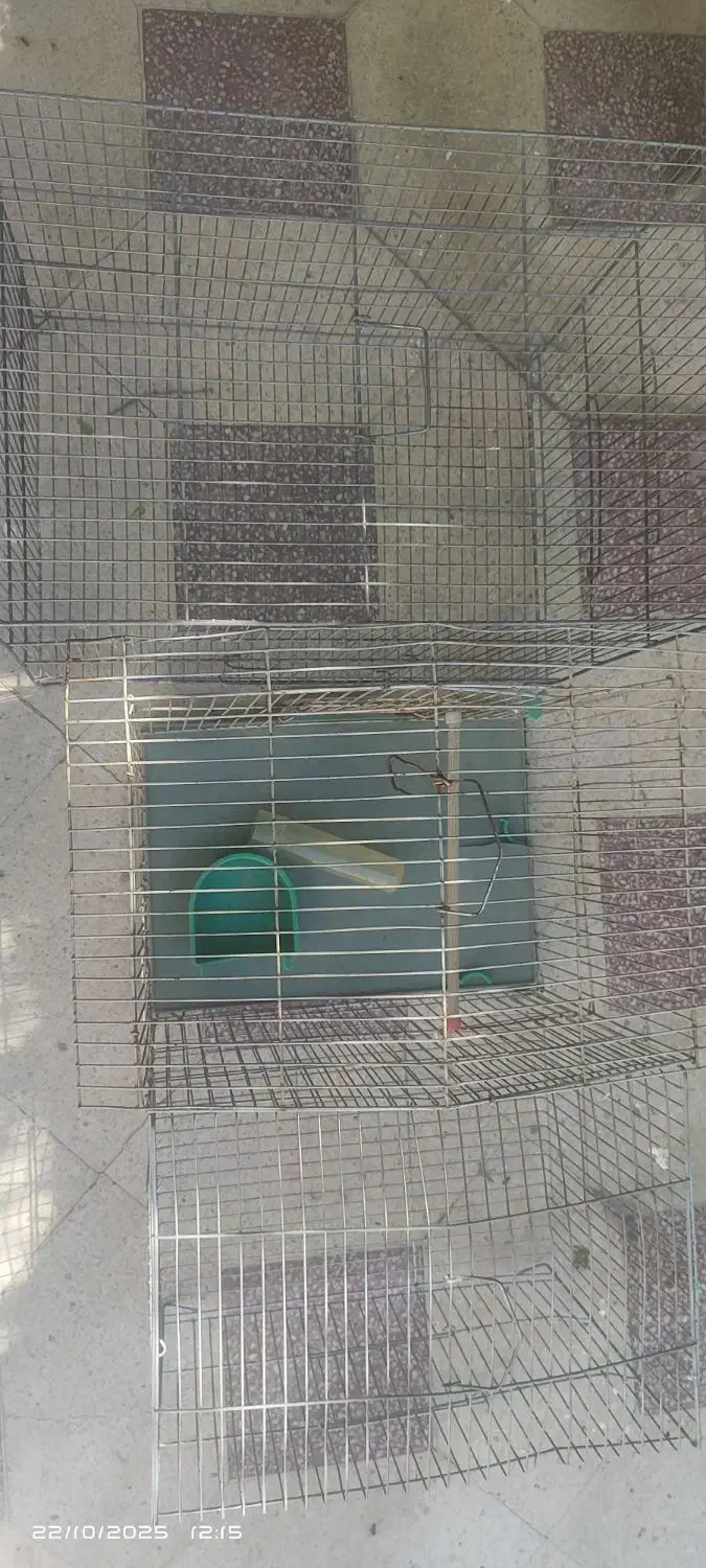 قفس پرنده|لوازم جانبی حیوانات|شیراز, شیشه‌گری|دیوار