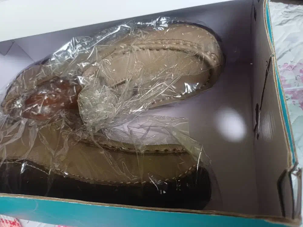 کفش طبی|کیف، کفش، کمربند|صومعهسرا, |دیوار