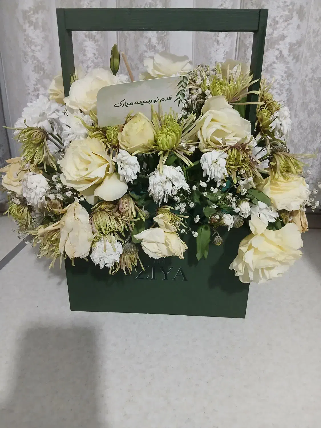 گل طبیعی|گل و گیاه طبیعی|مشهد, رده|دیوار