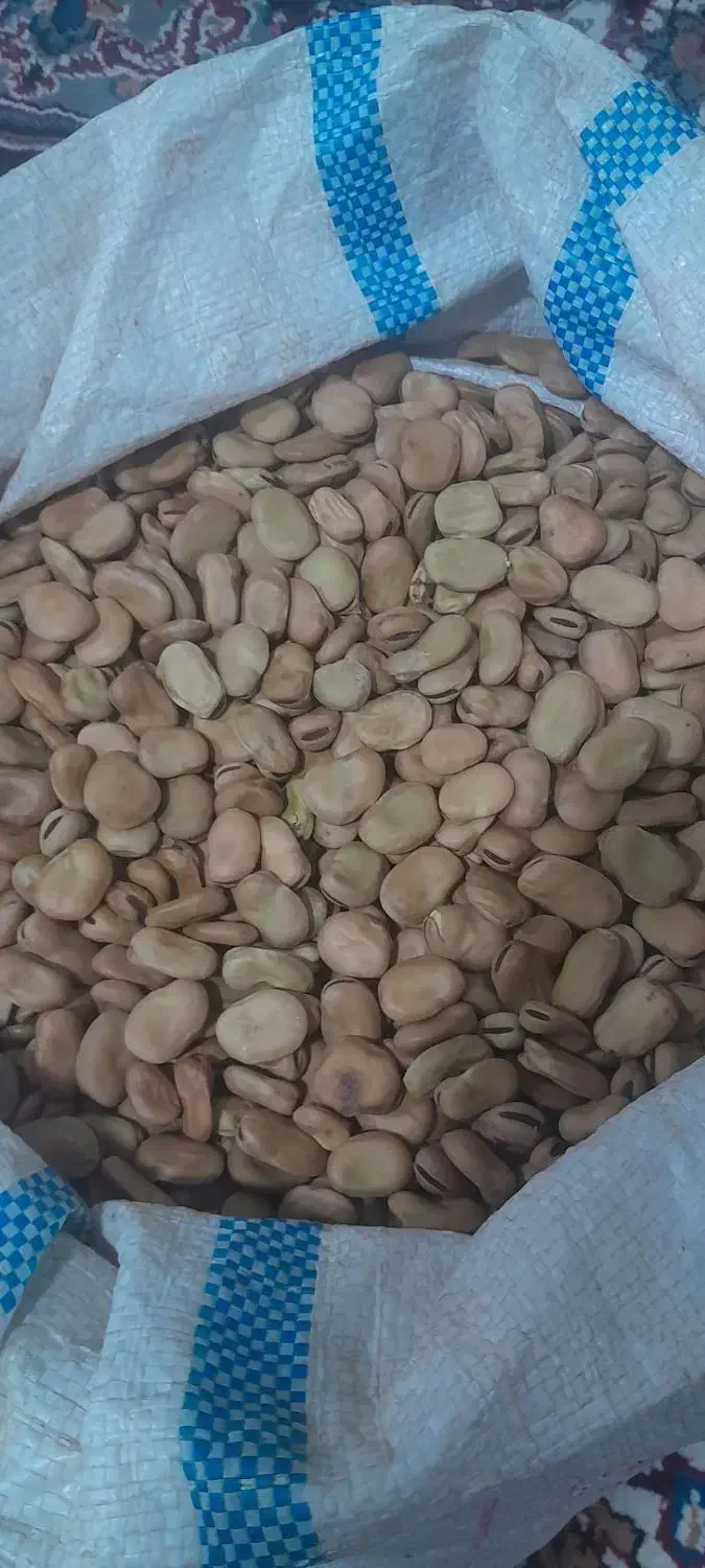 باقالا تمیز زودپز.بذرنداهفت بند|خوردنی و آشامیدنی|خان ببین, |دیوار