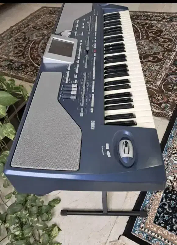 ارگ pa800|پیانو، کیبورد، آکاردئون|سده (خراسان جنوبی), |دیوار