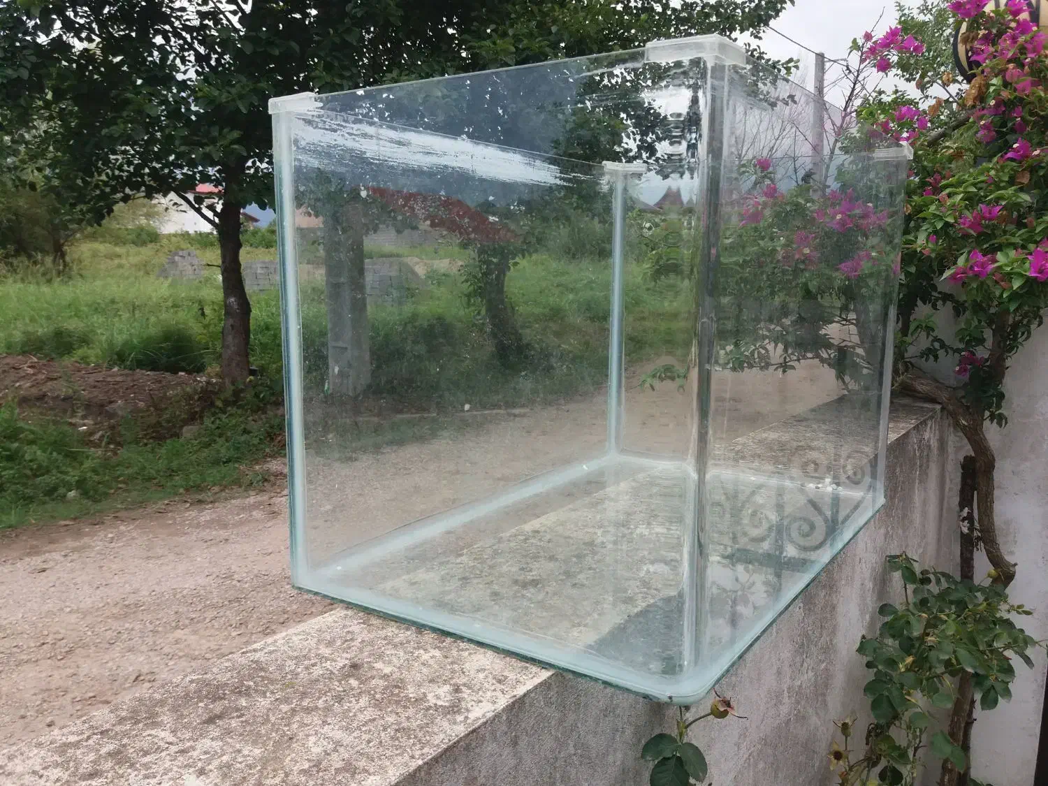 اکواریم شرکتی ضخیم|ماهی|سلمان‌شهر, |دیوار