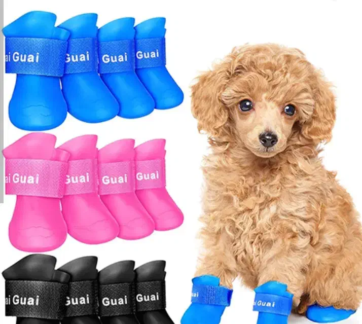 پت شاپ اکواریوم پرنده سرا|لوازم جانبی حیوانات|اسلام‌شهر, شهرک سعیدیه|دیوار