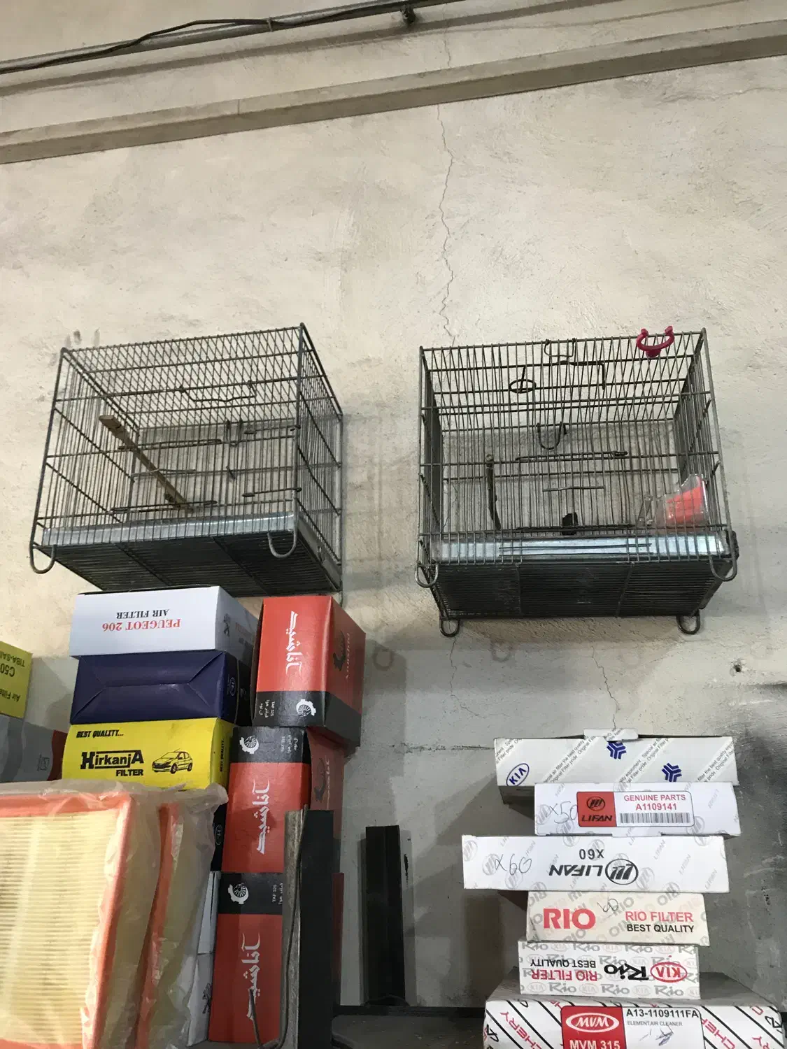 قفس سهره وپرنده|لوازم جانبی حیوانات|بومهن, |دیوار