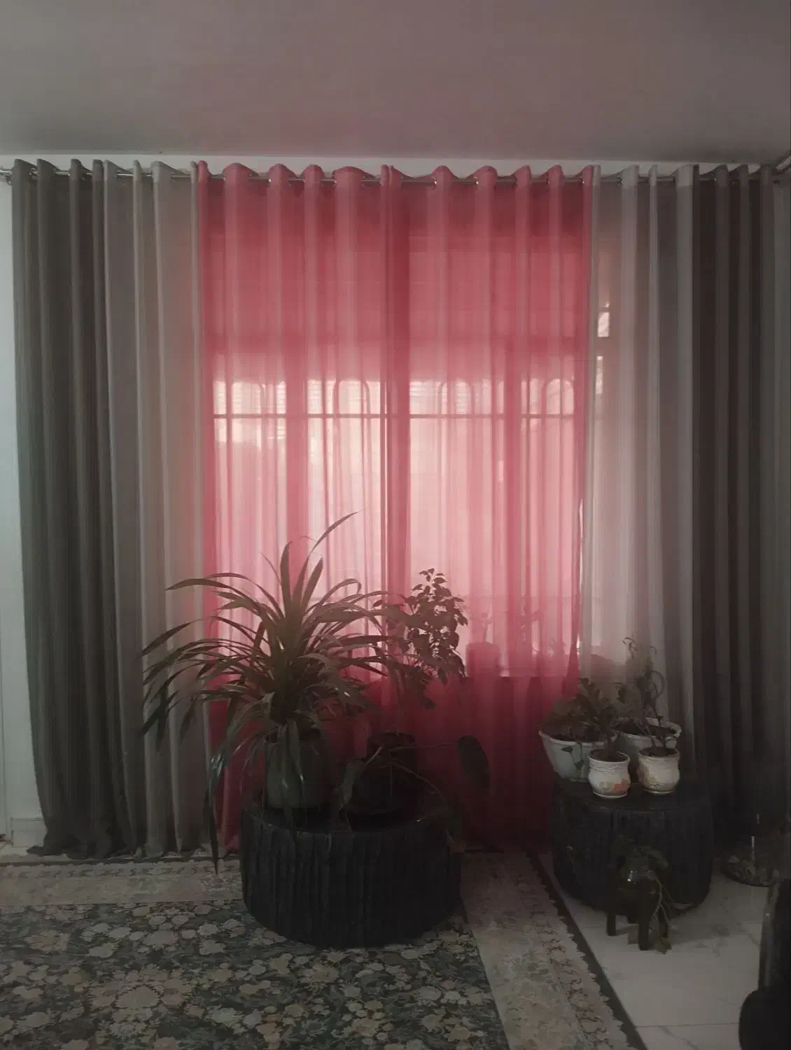 پرده پذیرایی|پرده، رانر، رومیزی|مشهد, کشف|دیوار