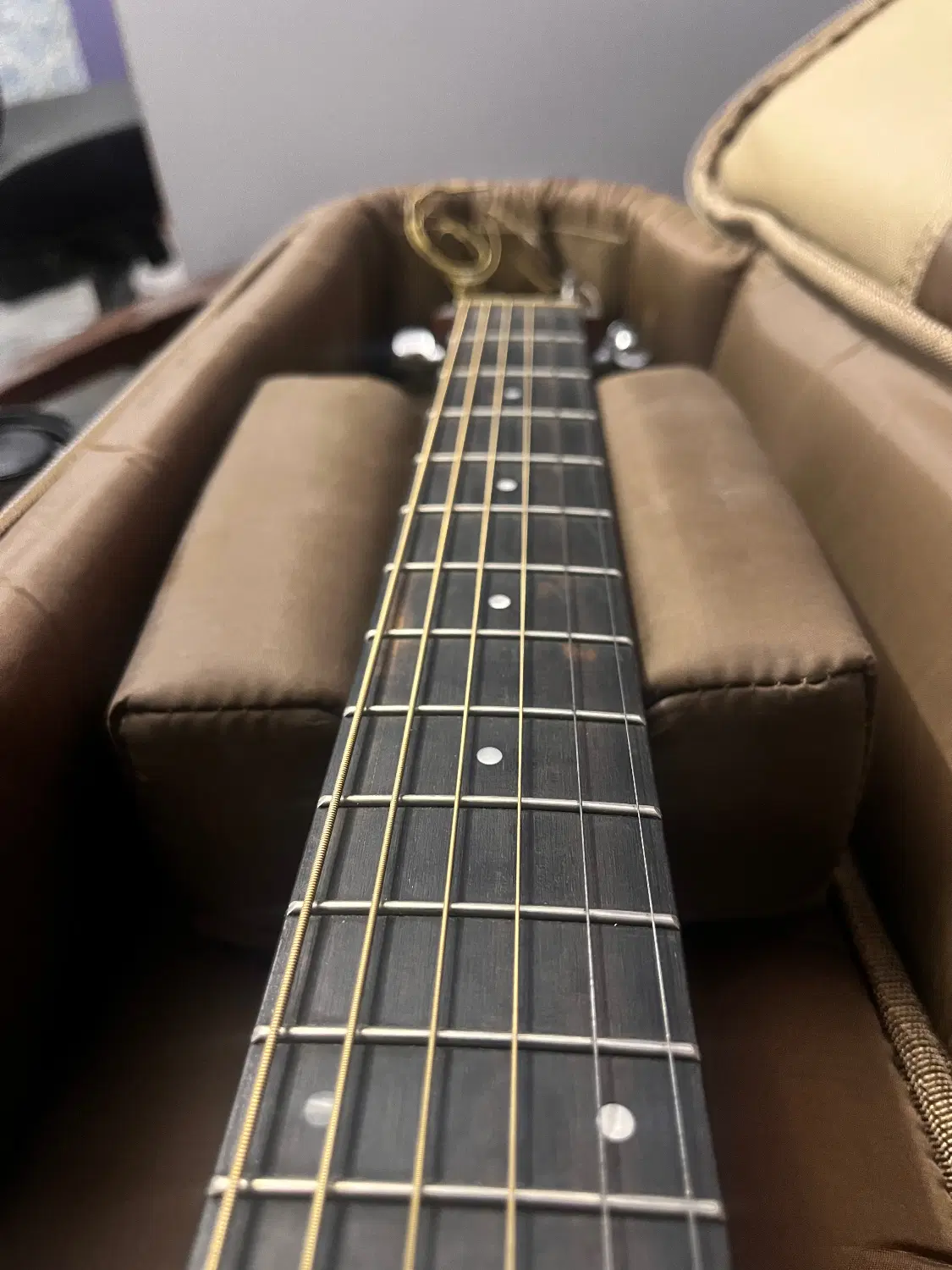Taylor gs series|گیتار، بیس، امپلیفایر|تهران, ونک|دیوار