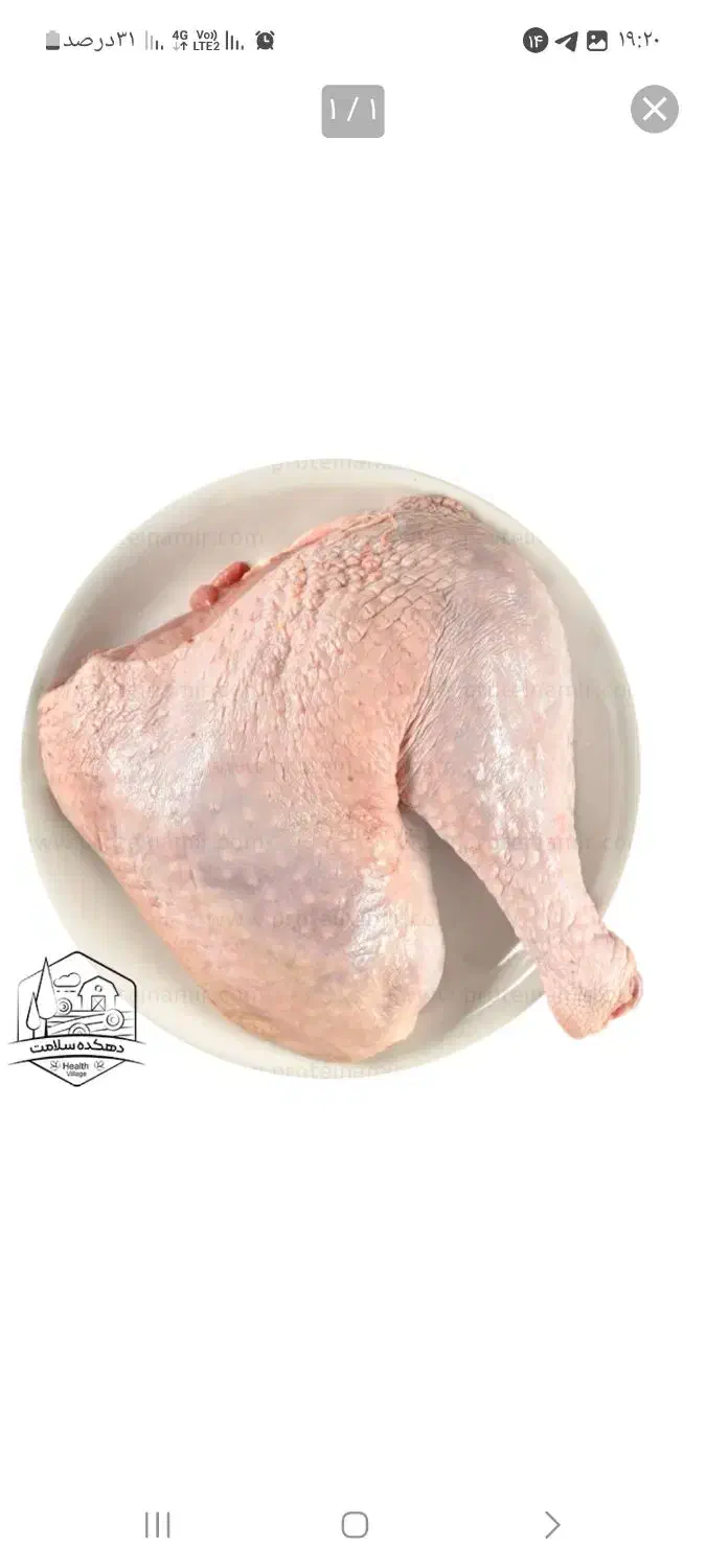 قطعه بندی مرغ کشتارروز|خوردنی و آشامیدنی|قم, نوبهار|دیوار