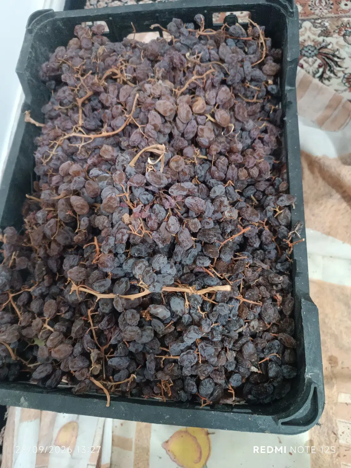 مویز|خوردنی و آشامیدنی|اسدآباد, |دیوار