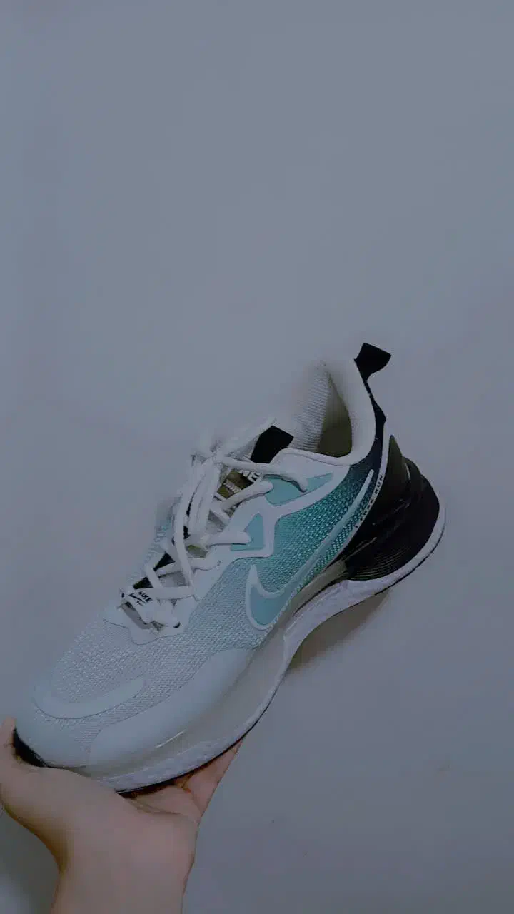 کتونی|کیف، کفش، کمربند|قم, شهر قائم|دیوار