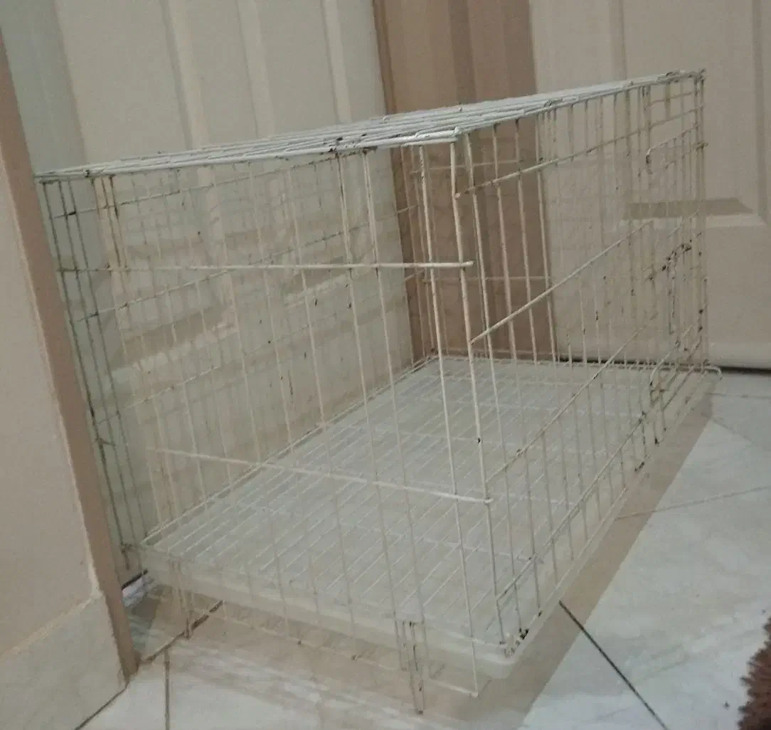 قفس بزرگ و محکم برای پرنده یا حیوانات کوچک خانگی|لوازم جانبی حیوانات|محمدشهر, همایون ویلا|دیوار