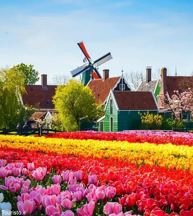 مهاجرت به هلند بدون مدرک زبان|خدمات پیشه و مهارت|مشهد, ده دی|دیوار