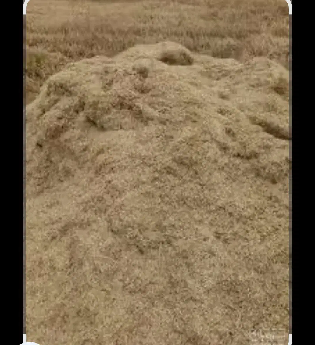 کاه سفید|عمدهفروشی|الیگودرز, |دیوار