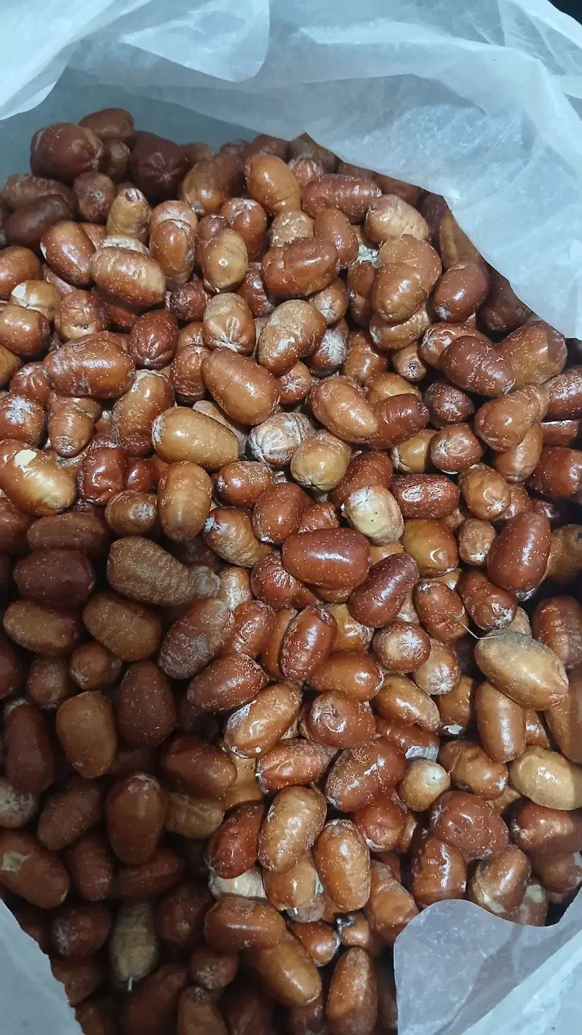 سنجد نرم و خوشمزه|خوردنی و آشامیدنی|فردیس, شهرک شهید حسینی|دیوار