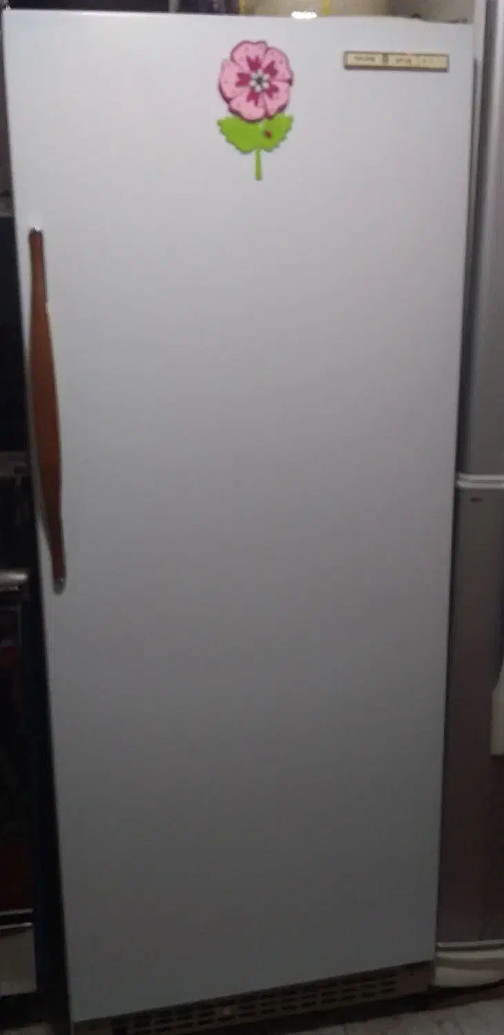 فریزر|یخچال و فریزر|تهران, تاکسیرانی|دیوار