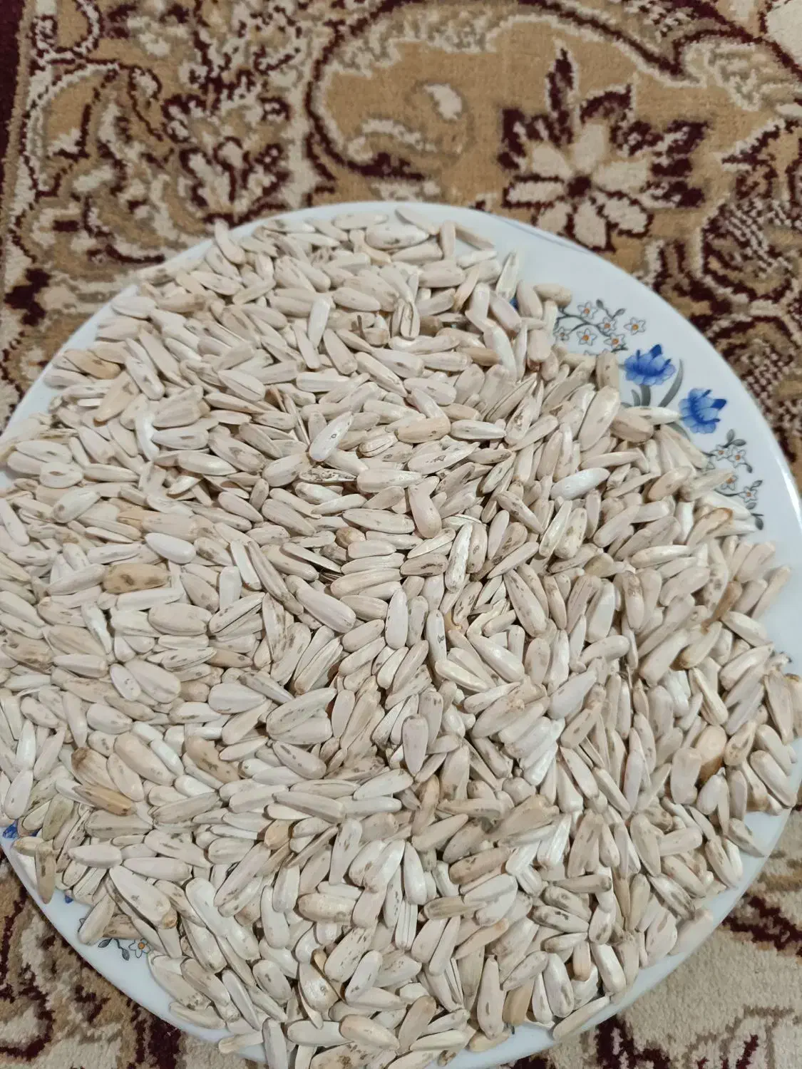 تخمک افتاب گردان|خوردنی و آشامیدنی|مشهد مرغاب, |دیوار