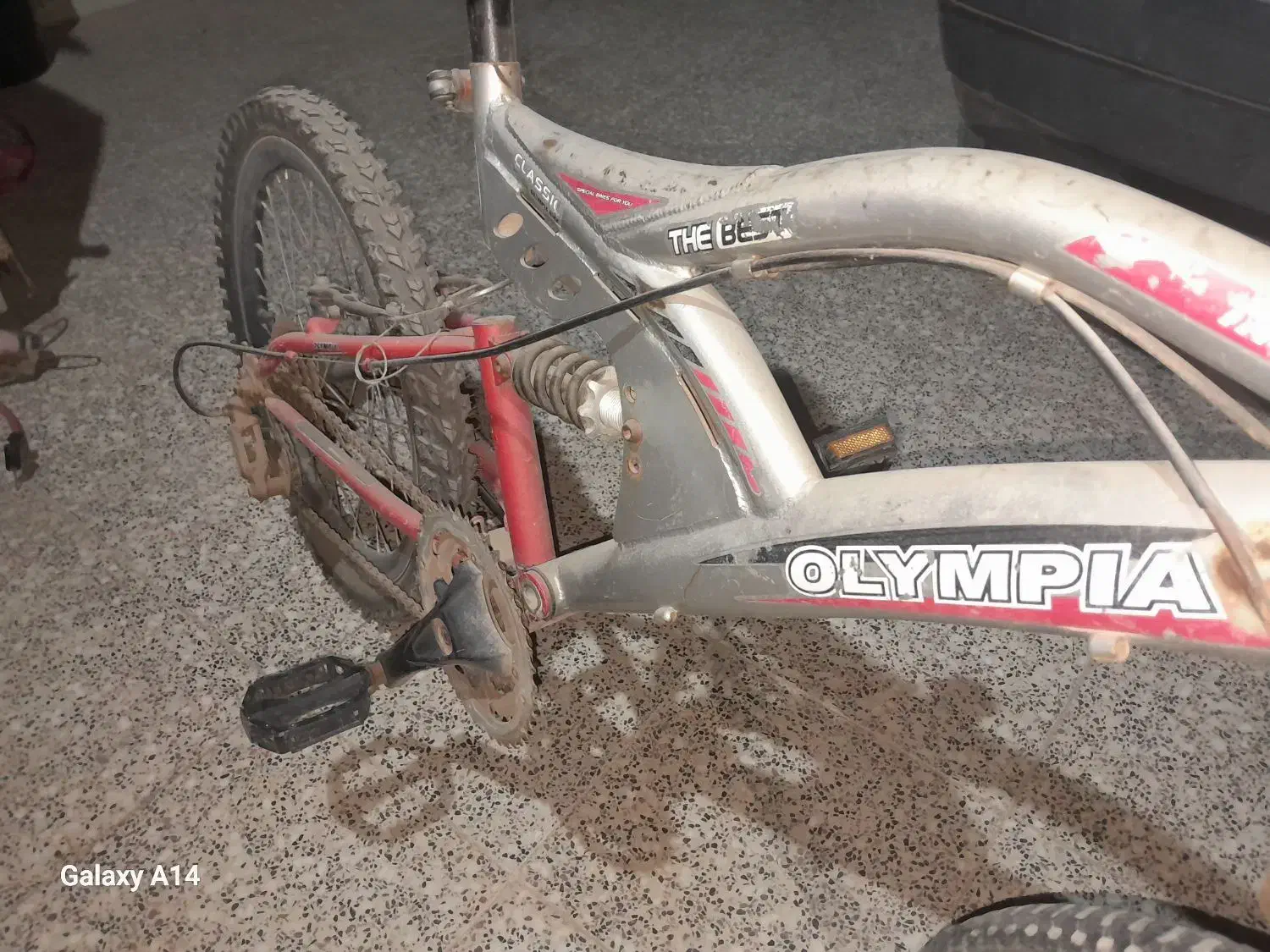 دوچرخه|دوچرخه، اسکیت، اسکوتر|میبد, |دیوار