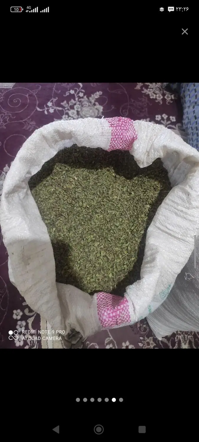 کاکوتی|عمده‌فروشی|چهاردانگه (آذربایجان), |دیوار