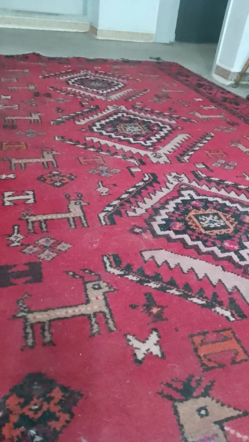 فروشه قالی چه|فرش|اهواز, کیان اباد|دیوار