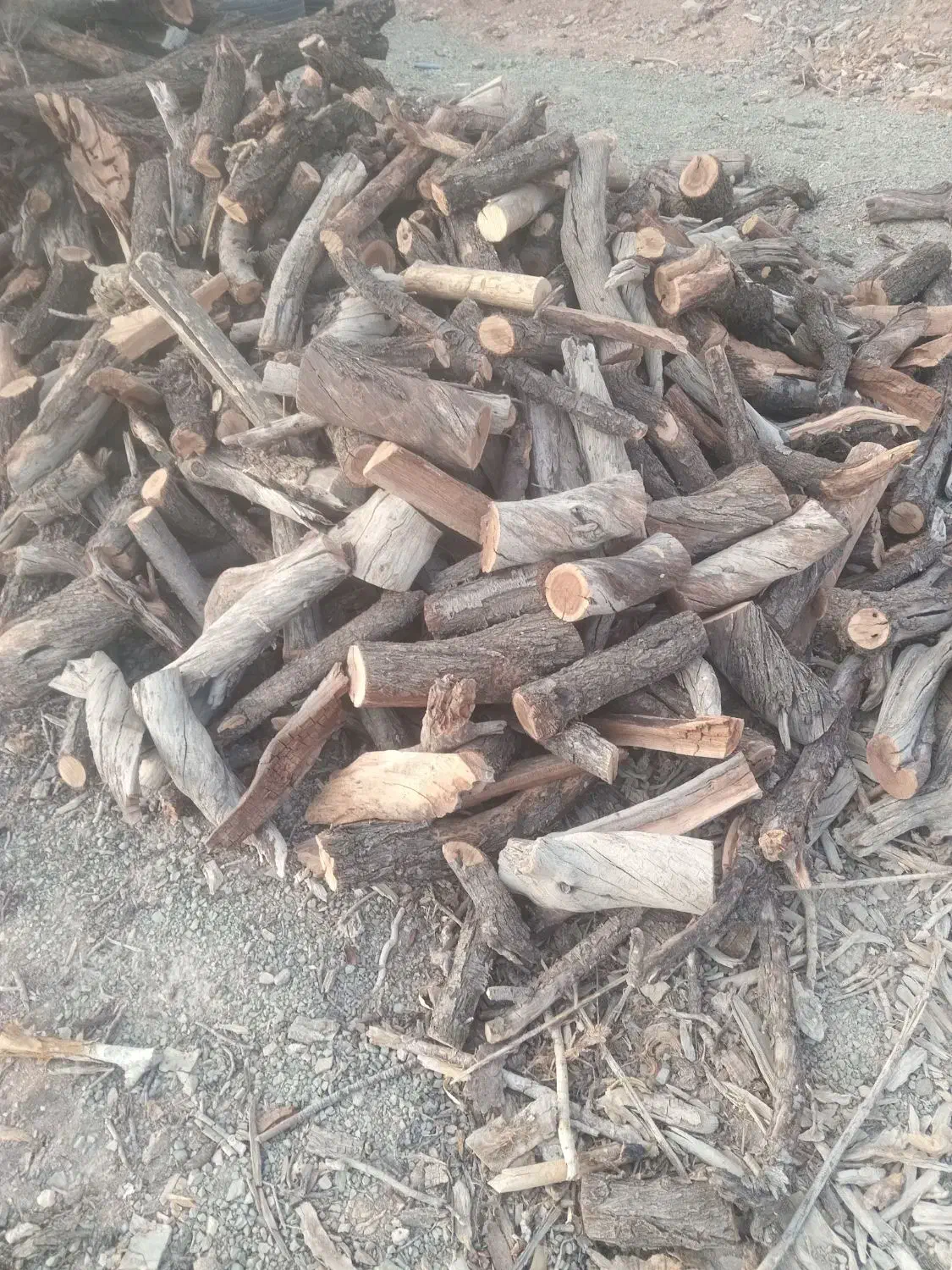 چوب بادام شومینه ای|خدمات باغبانی و درختکاری|تفرش, |دیوار