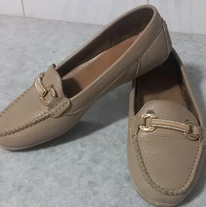 کفش مجلسی|کیف، کفش، کمربند|همدان, |دیوار