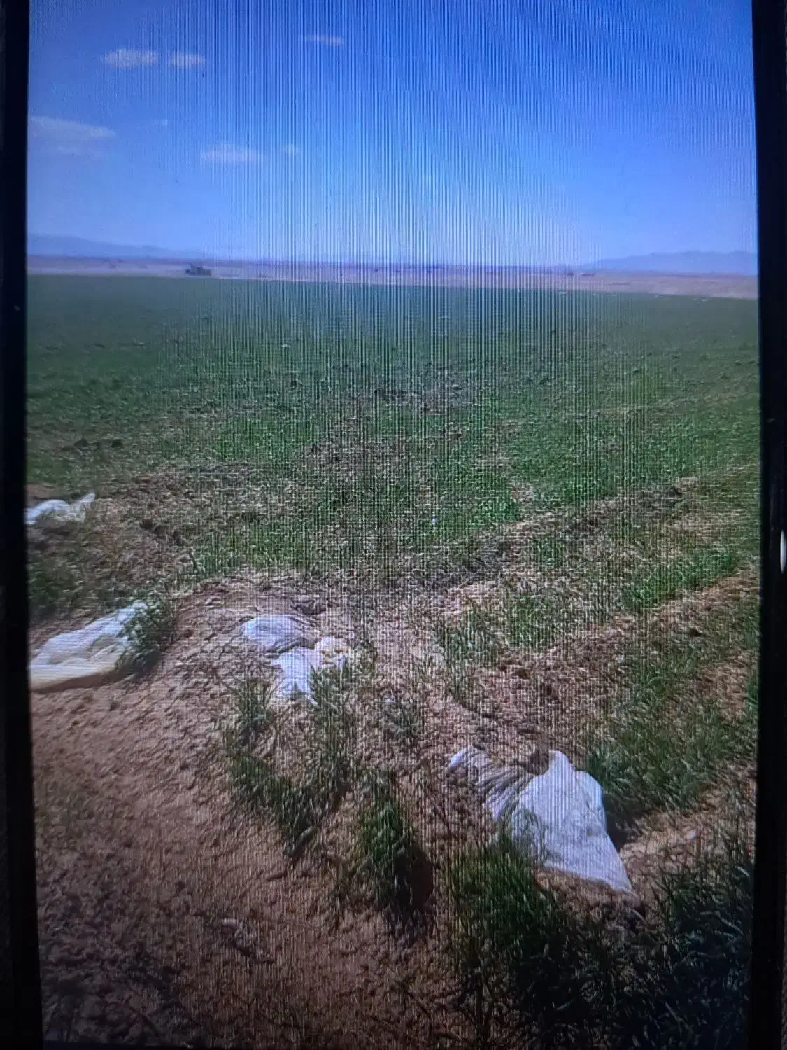 زمین گشاورزی|اجارهٔ دفتر صنعتی، کشاورزی، تجاری|بهمن صغاد, |دیوار