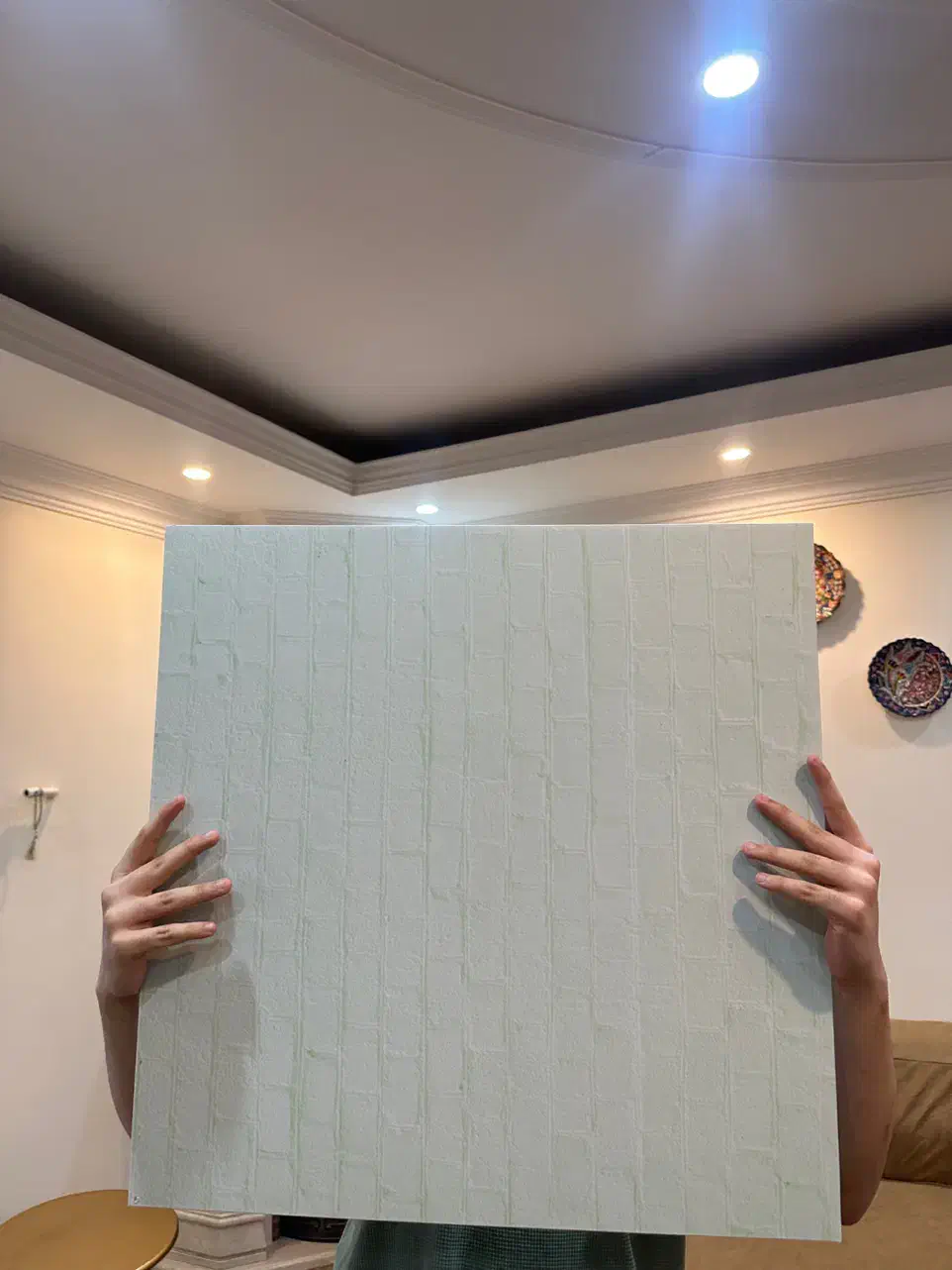 بکدارپ دورو مناسب انلاین شاپ و عکاسی|دوربین عکاسی و فیلم‌برداری|تهران, تهرانپارس غربی|دیوار