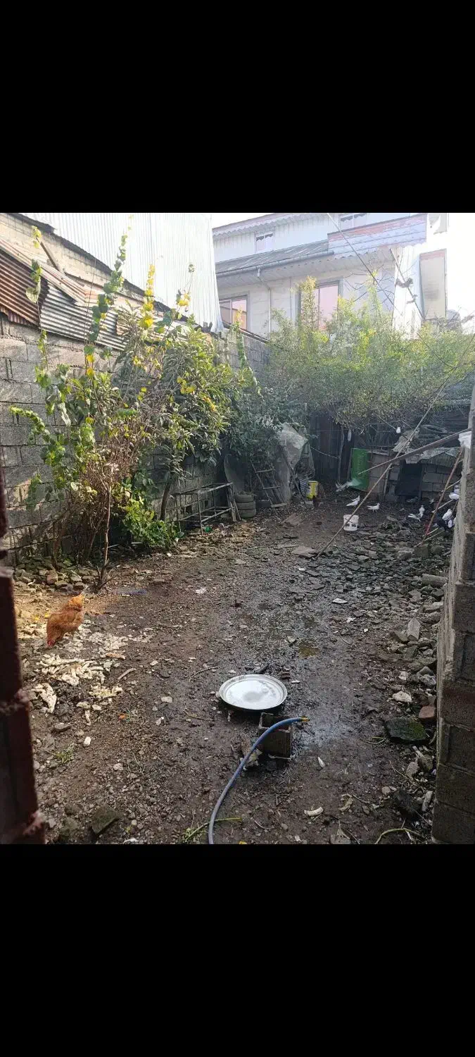 فروش مغازه و زمین|فروش زمین و ملک کلنگی|لاهیجان, بازکیاگوراب|دیوار