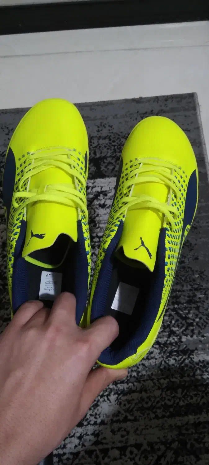 کتونی سالنی|کیف، کفش، کمربند|تهران, زرکش|دیوار