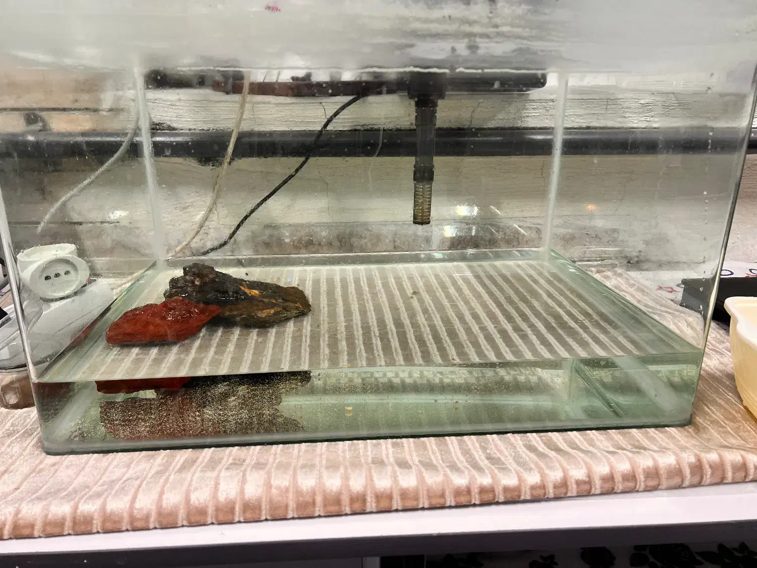 آکواریوم و تصویه آب|ماهی|تهران, جنت‌آباد مرکزی|دیوار