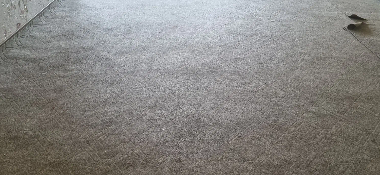 موکت|موکت|تبریز, |دیوار