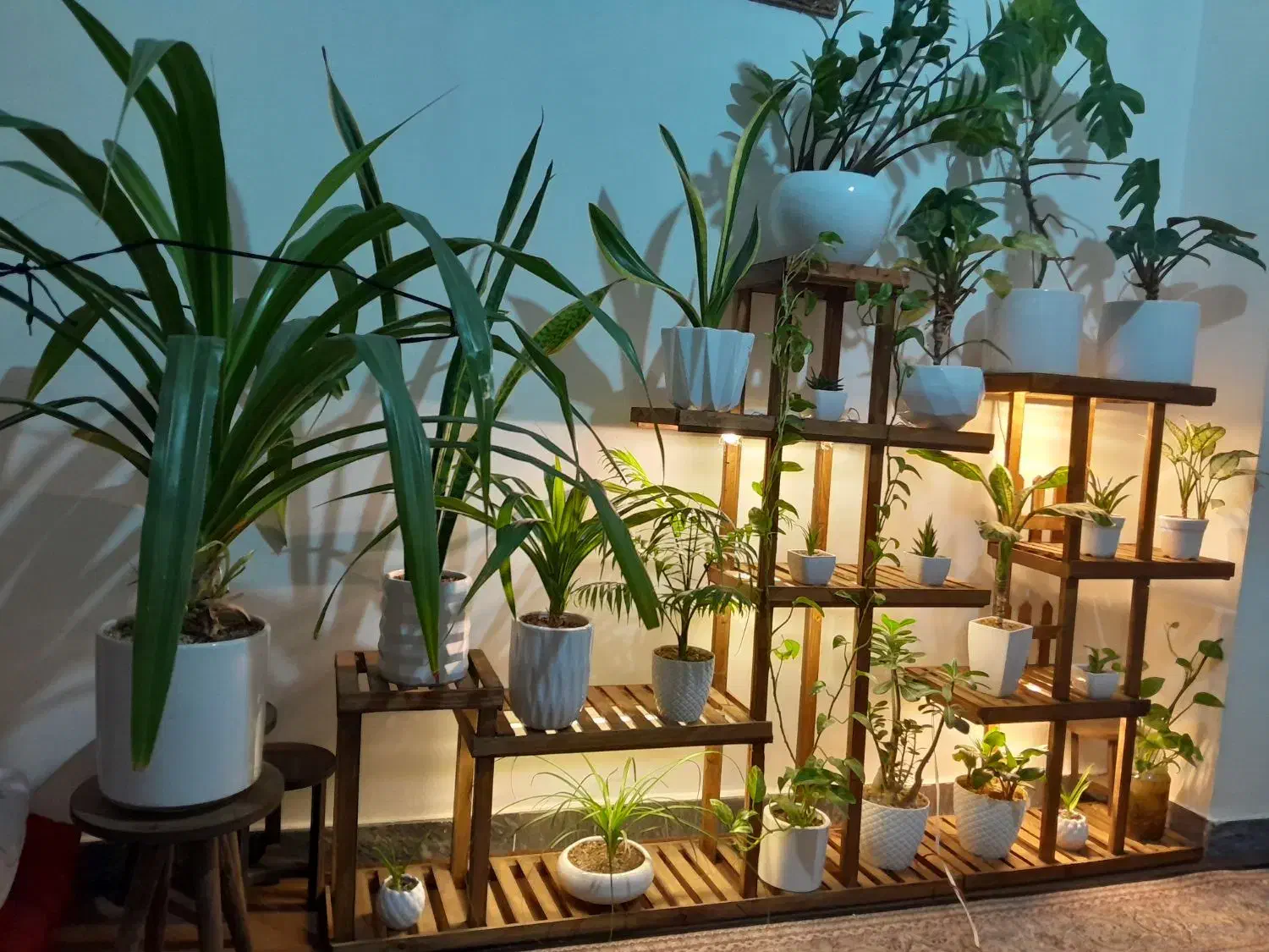 دوعدد استند با تمام گلها|گل و گیاه طبیعی|تبریز, |دیوار