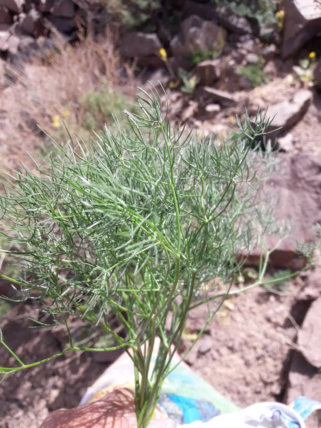 سلام به اونائی که چهار دیواری یا خانه ای قدیمی|فعالیت داوطلبانه|خوسف, |دیوار