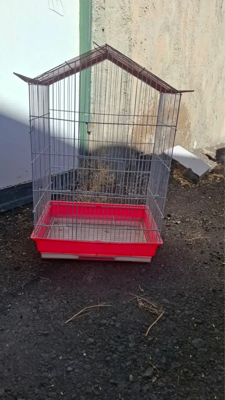 قفس و لونه دسته دوم|لوازم جانبی حیوانات|بیرجند, |دیوار