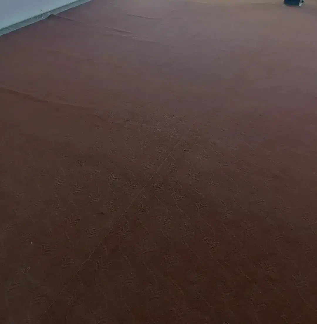 موکت قهوه ای|موکت|ابهر, |دیوار