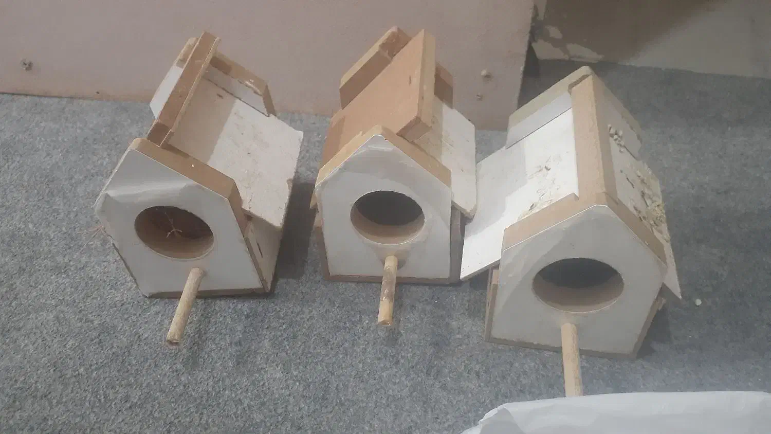 لانه فنج|لوازم جانبی حیوانات|بندرعباس, |دیوار