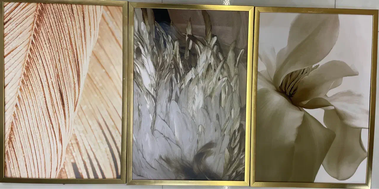 قاب عکس|تابلو، نقاشی، عکس|شیراز, میانرود|دیوار