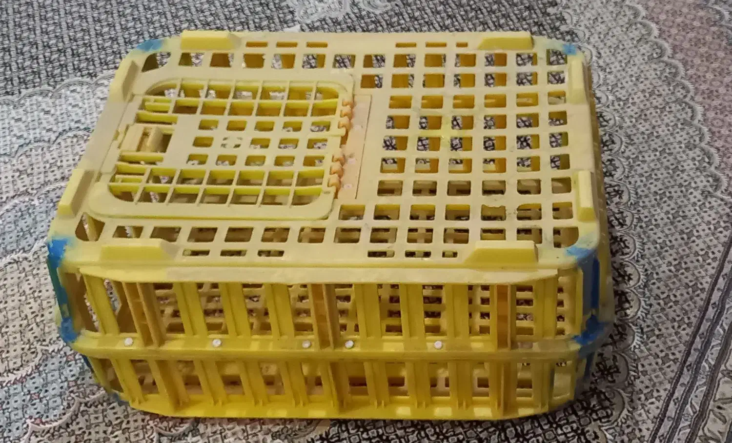 قفسهایمرغ|لوازم جانبی حیوانات|دیواندره, |دیوار