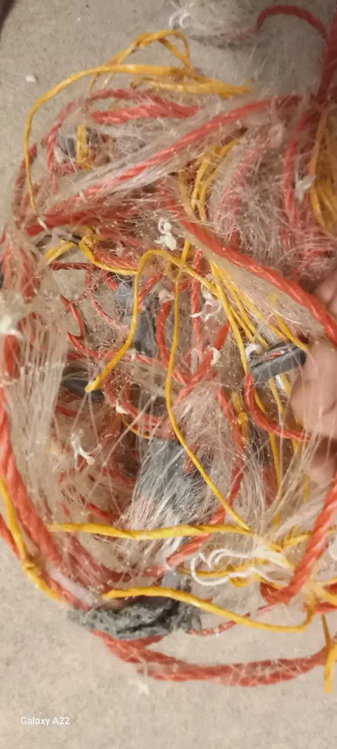 تورماهیگیری|ماهیگیری|زاهدان, |دیوار